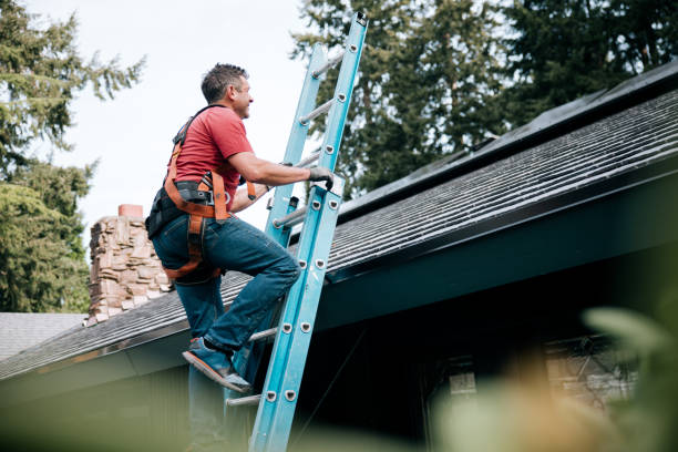 Best Roof Maintenance and Cleaning  in Canton, TX